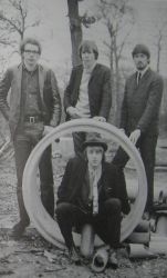 wildeflowers-621x1024