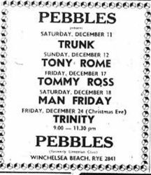 pebbles1